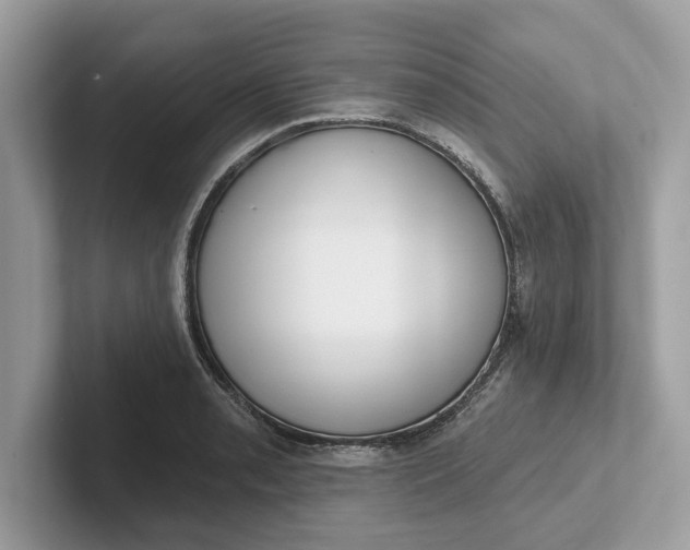 X0000101401085200807211029