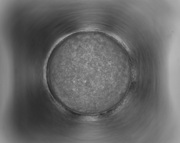 X0000101401086200807211029