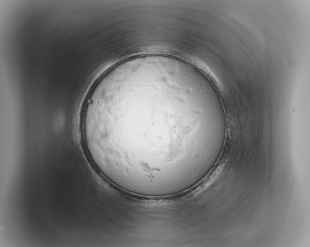 X0000101401087200807211029