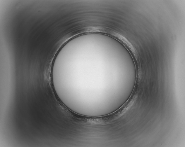 X0000101401089200807211029