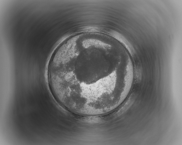 X0000101401090200807211029