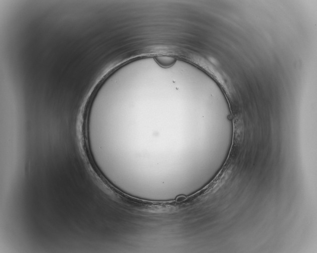 X0000101401091200807211029