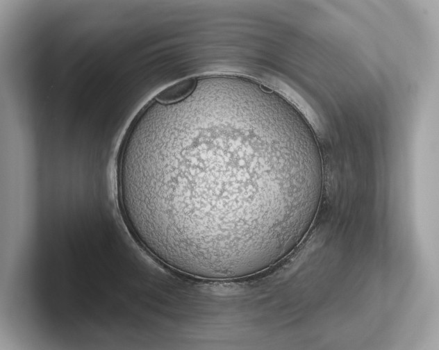 X0000101401092200807211029