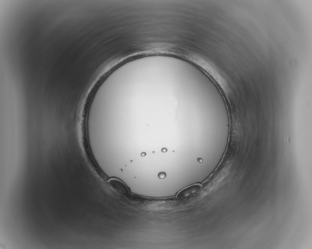 X0000101401093200807211029