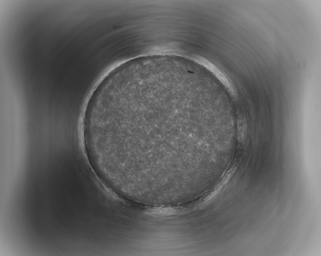 X0000101401094200807211029