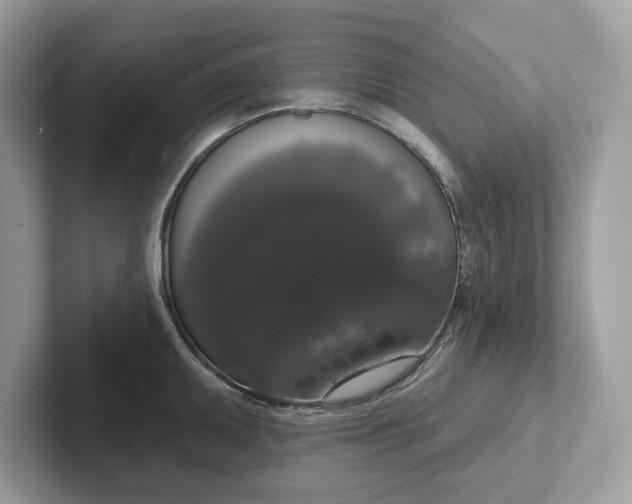 X0000101401095200807211028