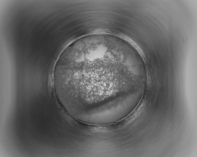 X0000101401097200807211028