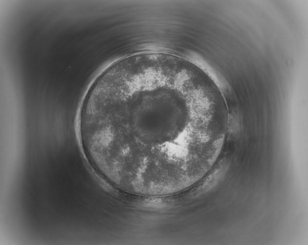 X0000101401098200807211028