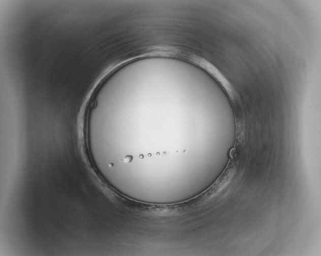 X0000101401099200807211028