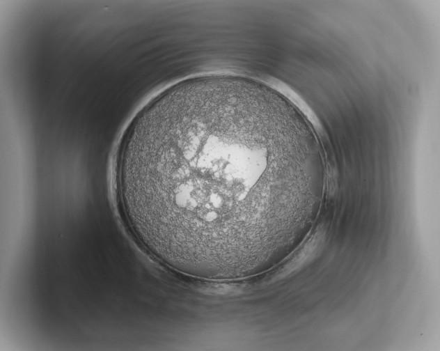 X0000101401101200807211028