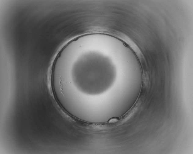 X0000101401102200807211028