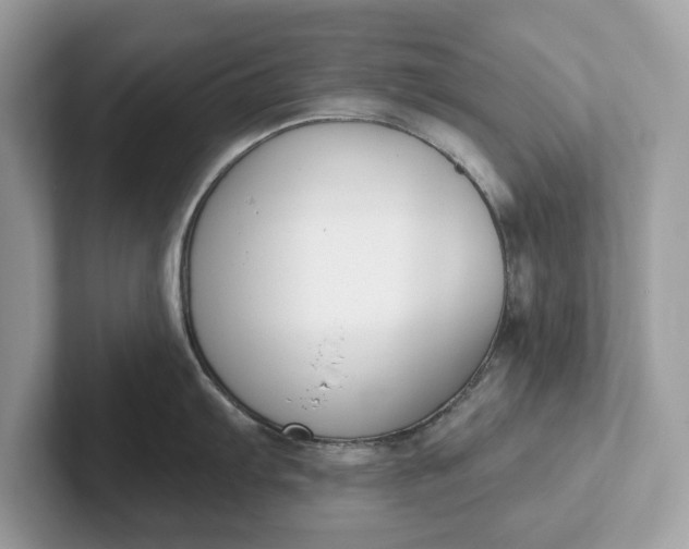 X0000101401103200807211028