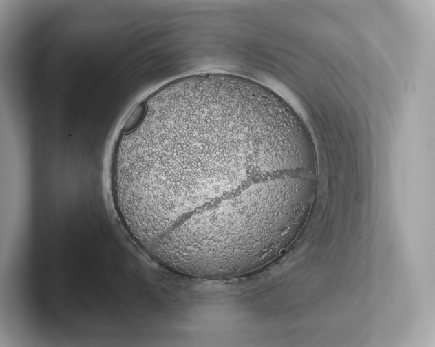 X0000101401104200807211028