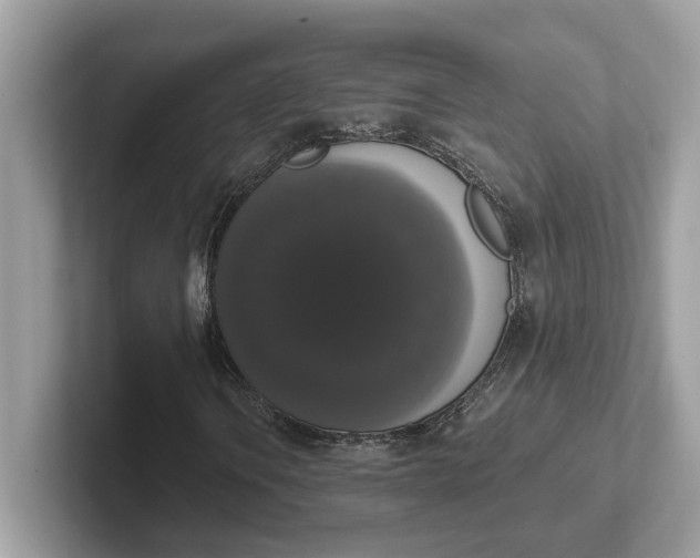 X0000101401106200807211028