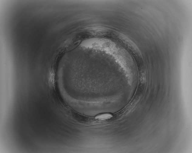 X0000101401108200807211028