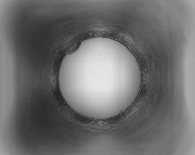 X0000101401109200807211028