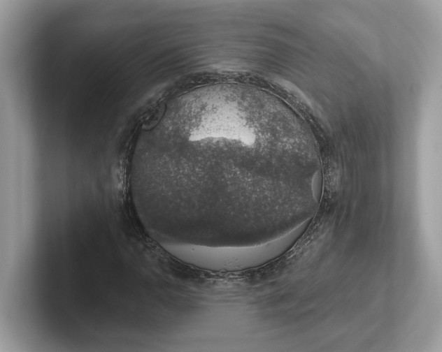 X0000101401110200807211028