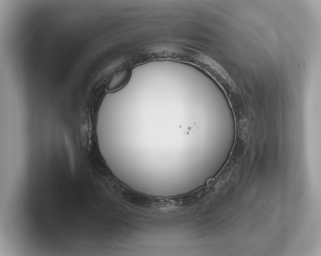 X0000101401111200807211028