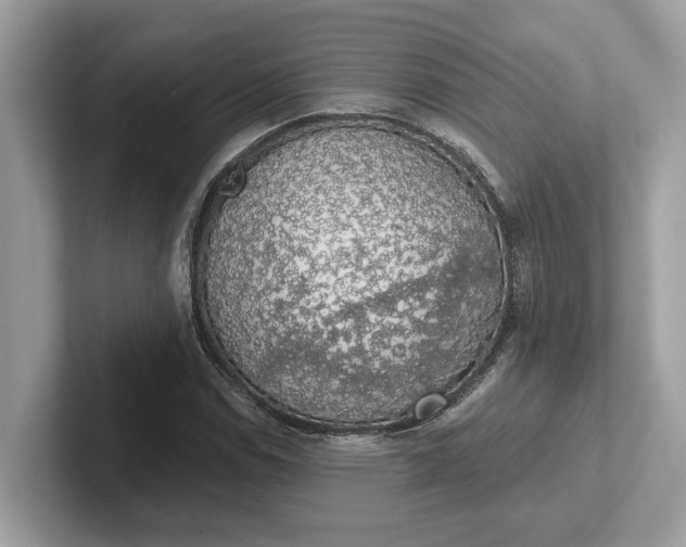 X0000101401114200807211028