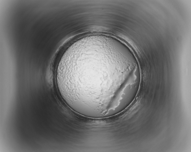 X0000101401115200807211028