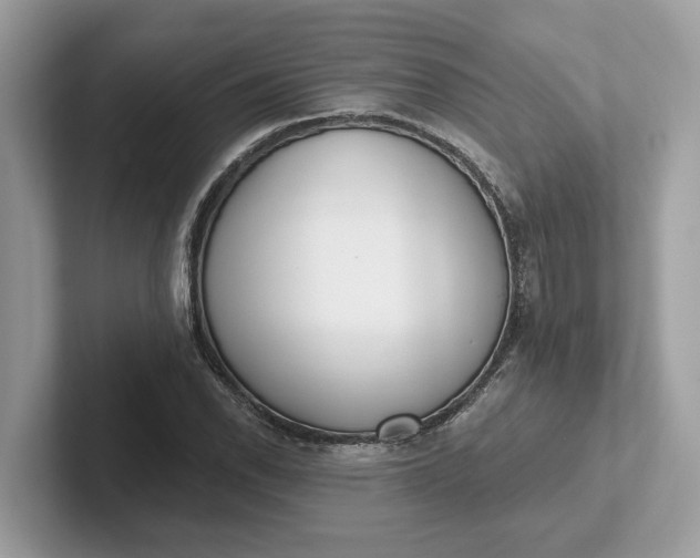 X0000101401118200807211028