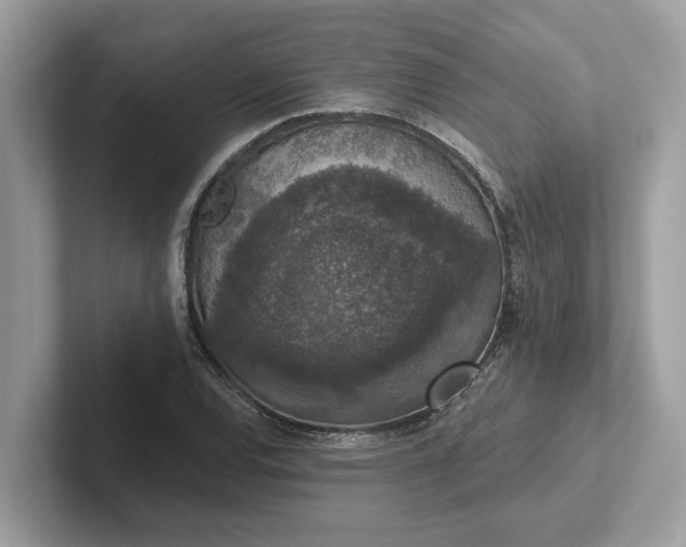 X0000101401120200807211028