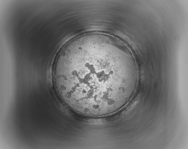 X0000101401121200807211028