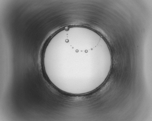 X0000101401122200807211028