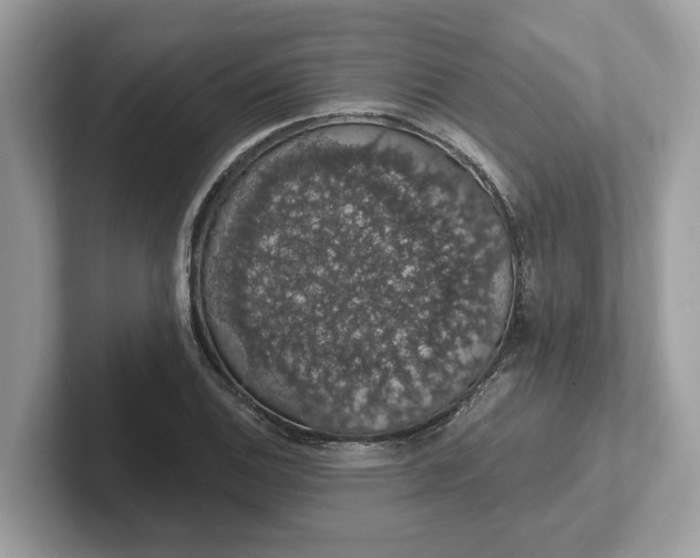 X0000101401124200807211028