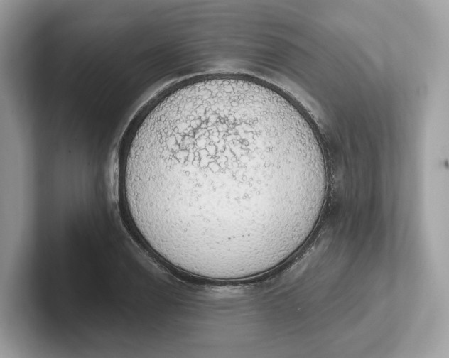 X0000101401126200807211028