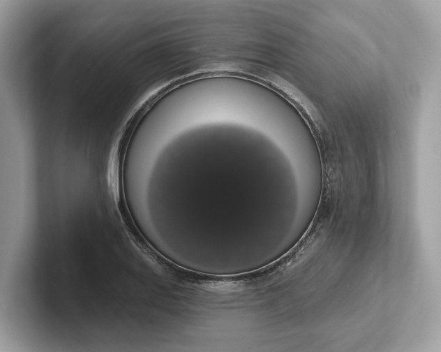 X0000101401127200807211028