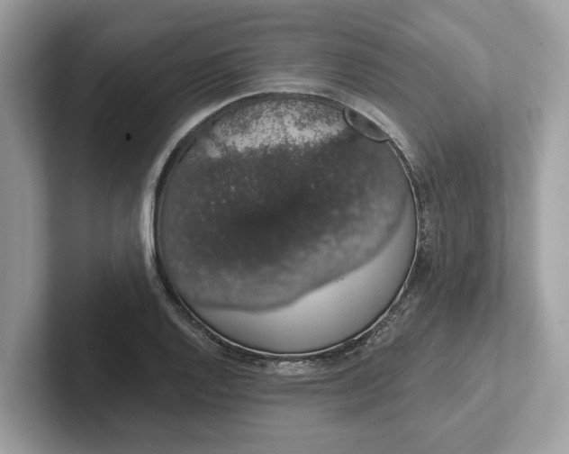 X0000101401128200807211028