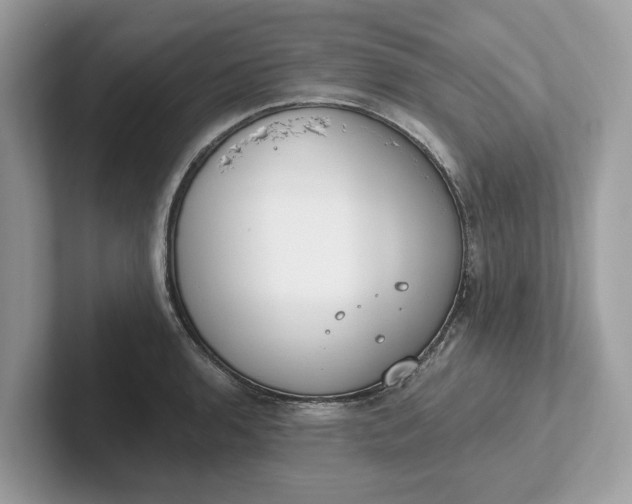 X0000101401136200807211028