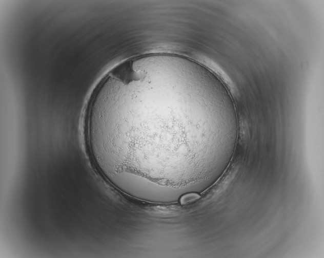 X0000101401138200807211028