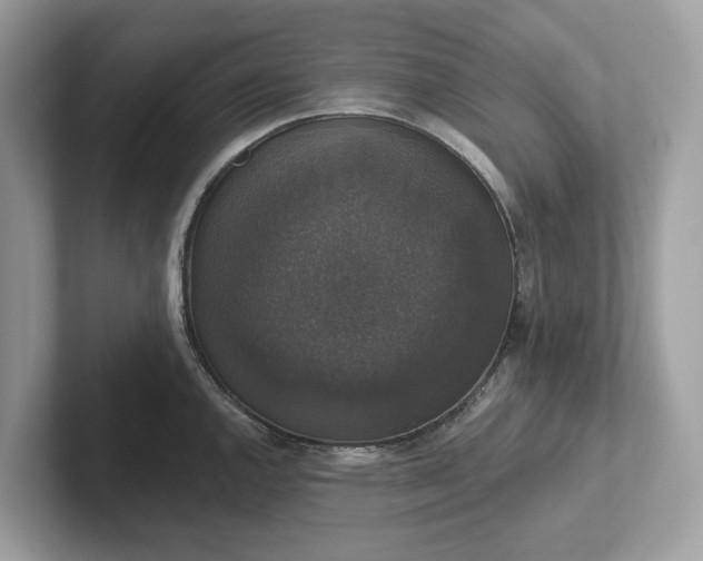 X0000101401144200807211028