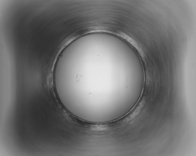 X0000101401145200807211028