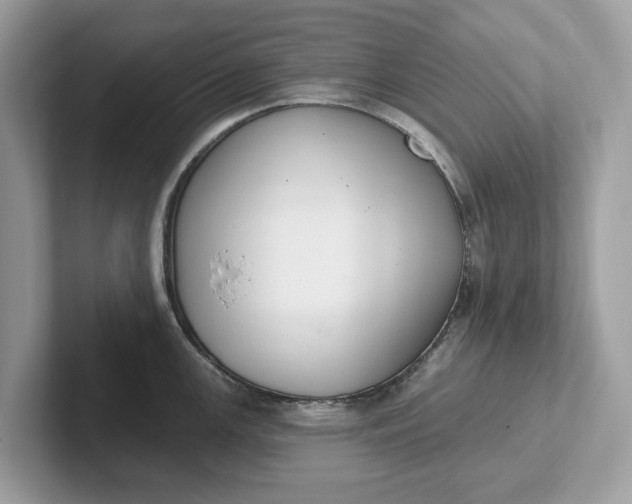 X0000101401147200807211028