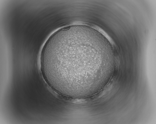 X0000101401148200807211028