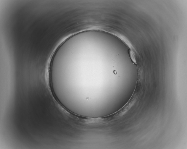 X0000101401151200807211028