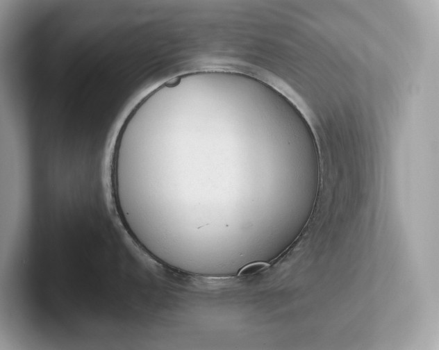 X0000101401152200807211028