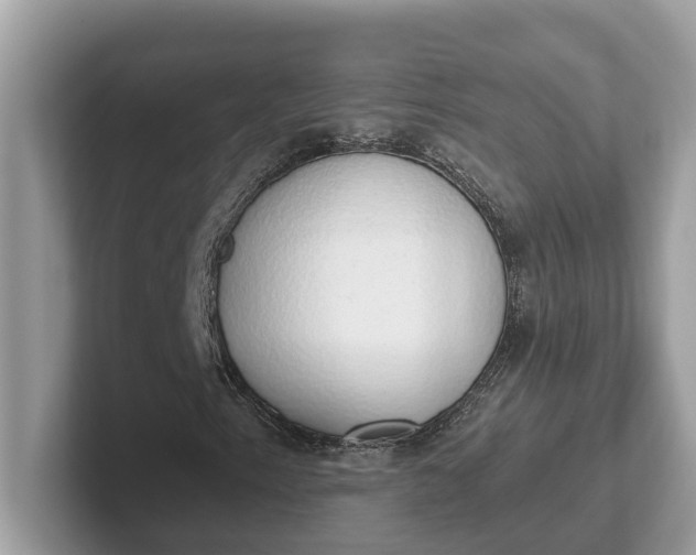 X0000101401153200807211028