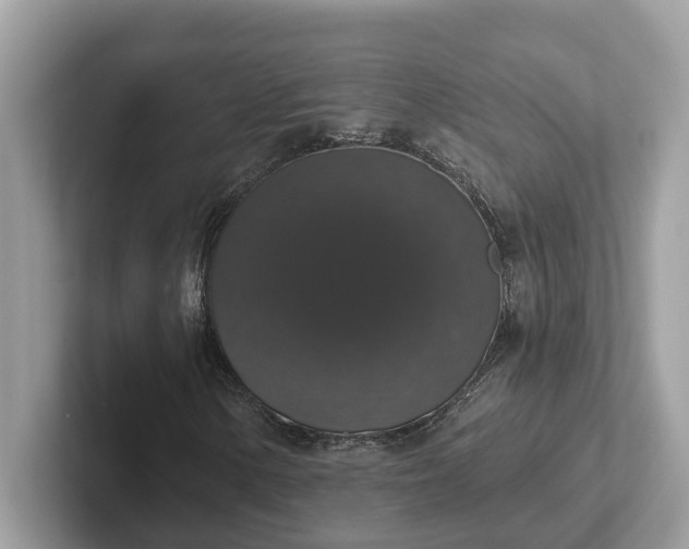 X0000101401154200807211028