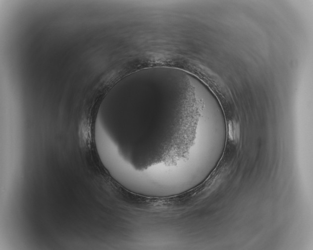 X0000101401155200807211028