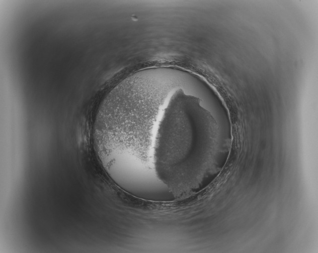 X0000101401158200807211028