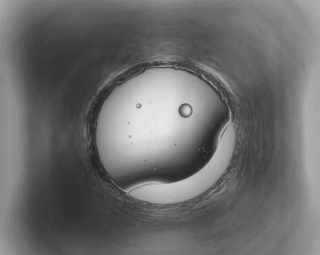 X0000101401160200807211028