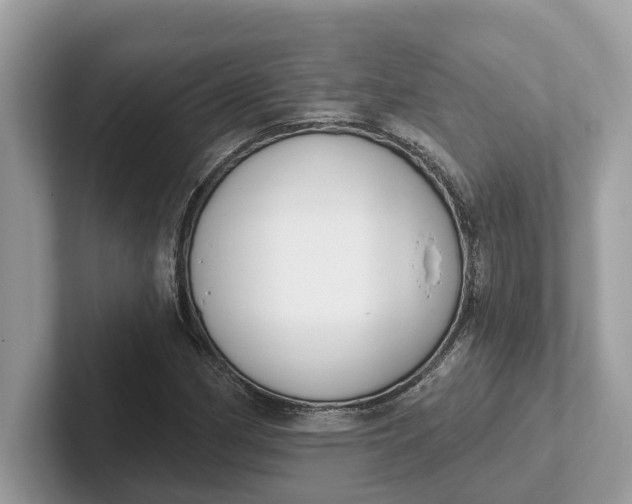 X0000101401162200807211028