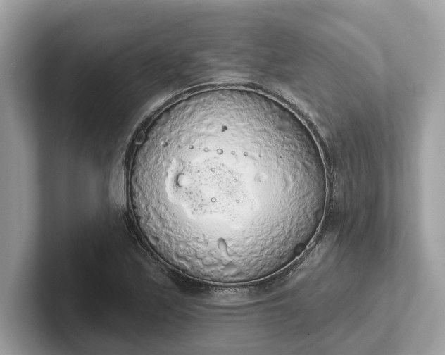 X0000101401171200807211027