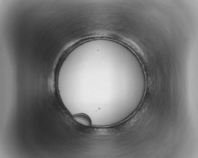 X0000101401172200807211027