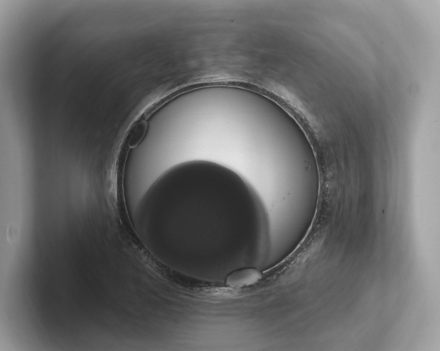 X0000101401173200807211027