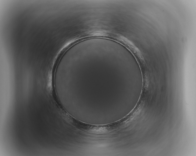 X0000101401174200807211027